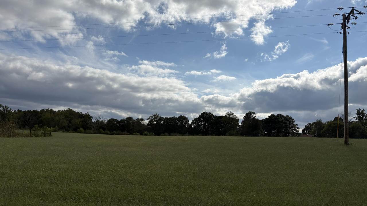 0 Old Salem Lexie Rd - Photo 1