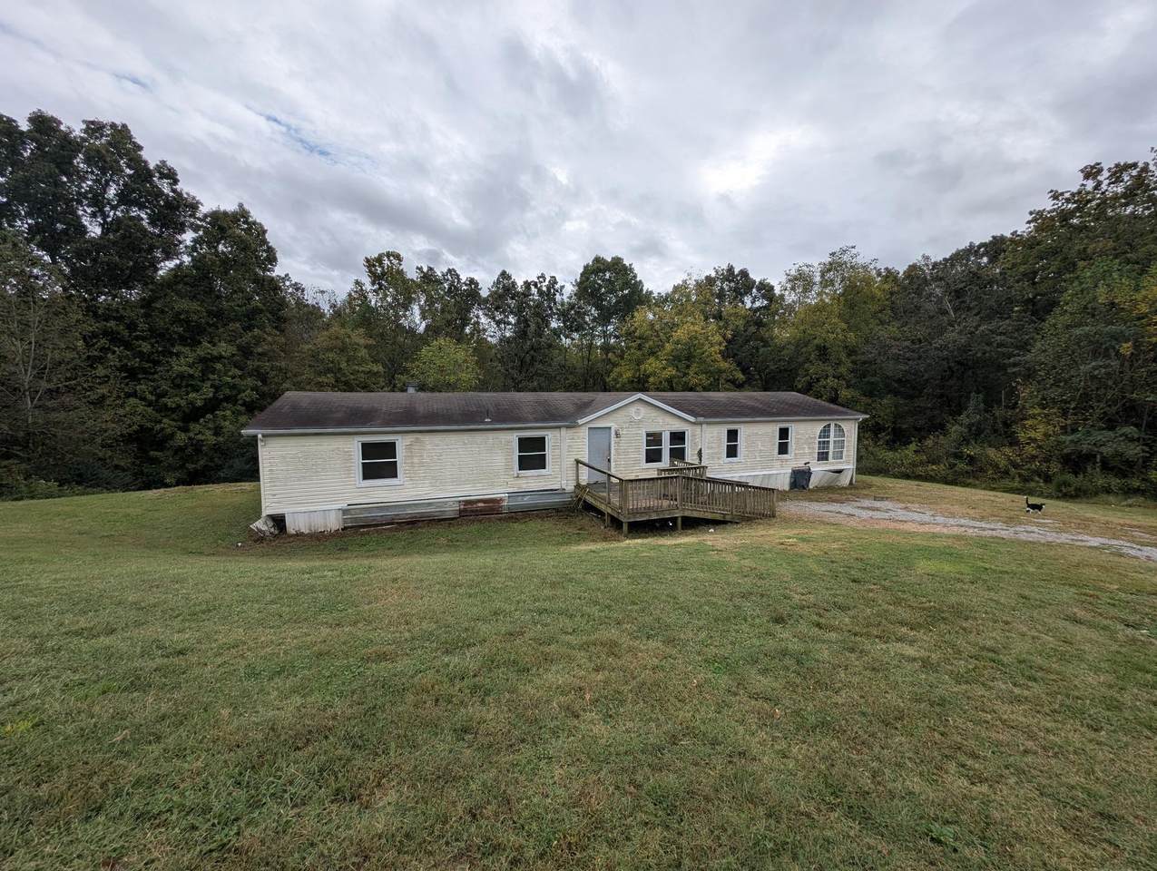 7231 Old Cox Pike - Photo 1