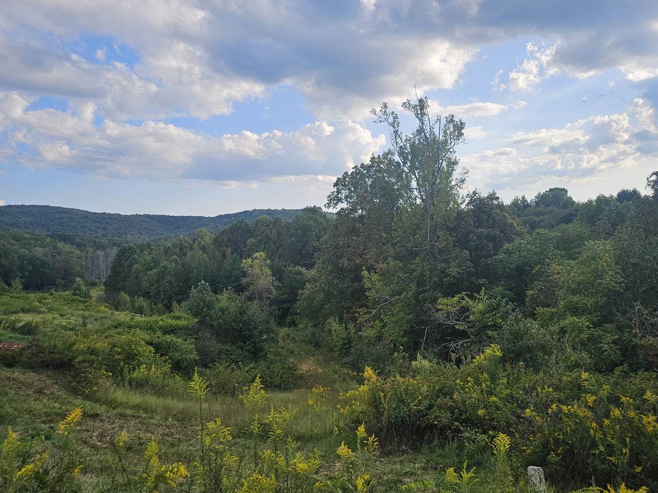 1970 Rock Ave - Photo 1