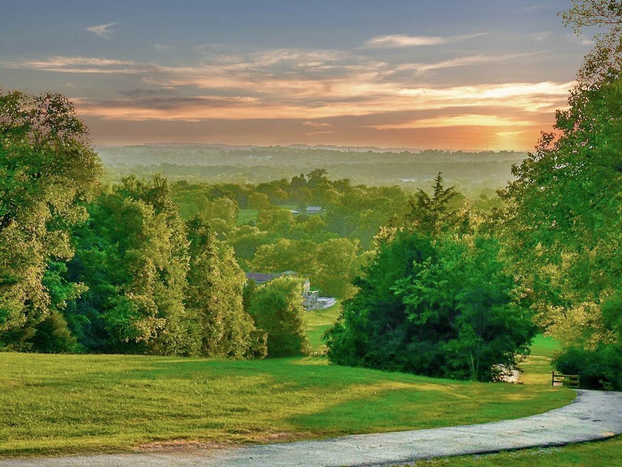 1659 Guy Ferrell Road - Photo 1