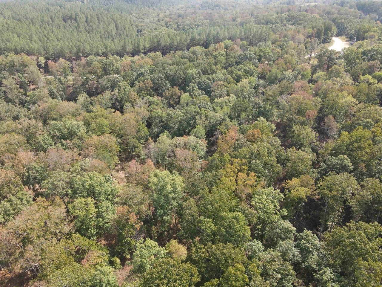 0 Bear Creek Rd - Photo 1