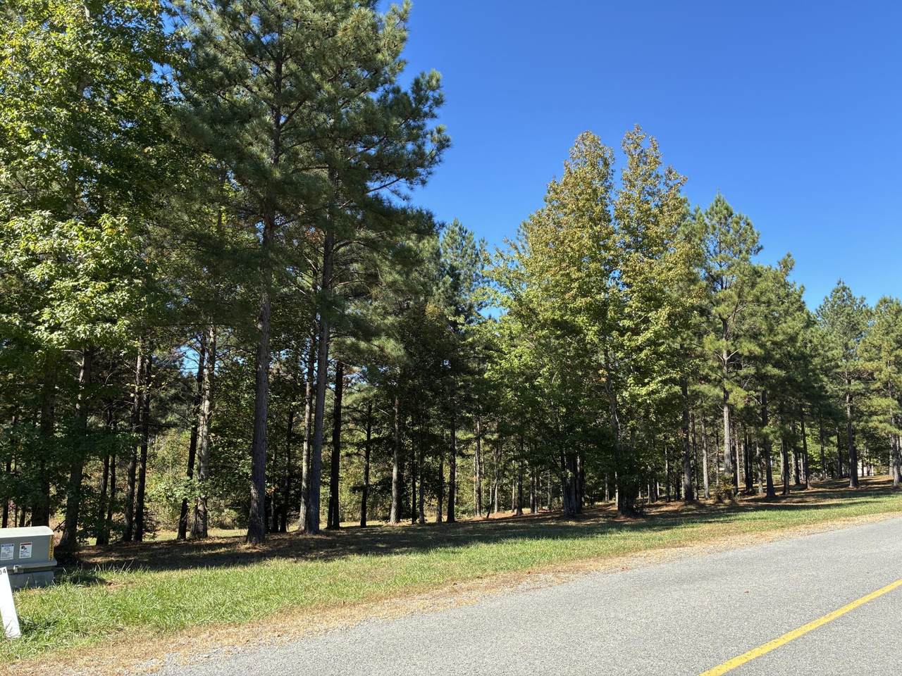 241 Pappy Road - Photo 1