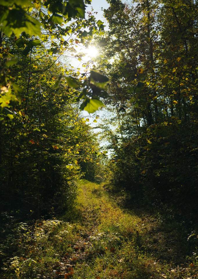 5845 Turkey Creek Rd - Photo 1