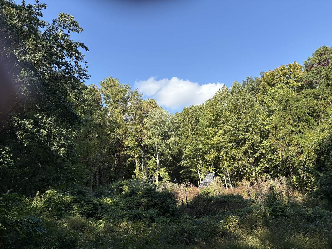 1431 Roarks Cove Rd - Photo 1