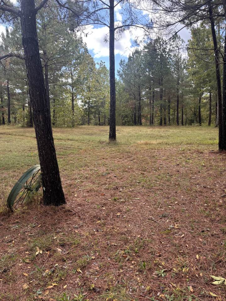 280 Baptist Branch Rd - Photo 1