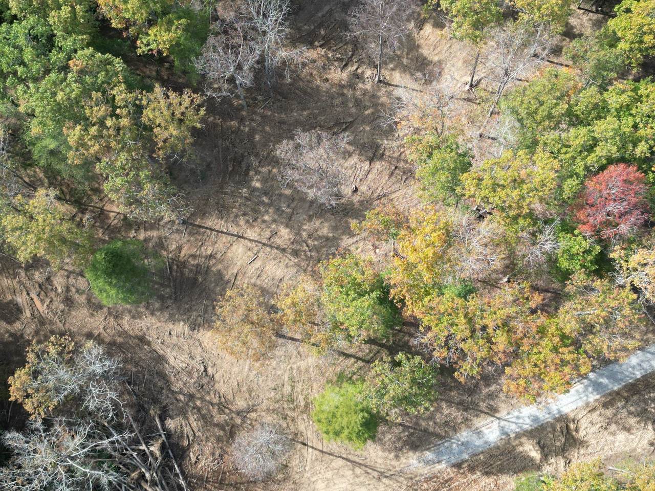 0 Newton Rd - Photo 1