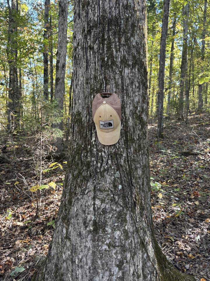 0 Columbia Hwy - Photo 1