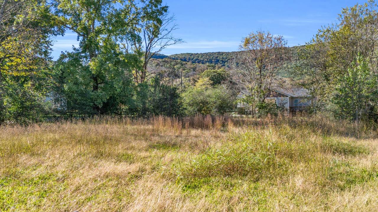 704 Ray Lane - Photo 1