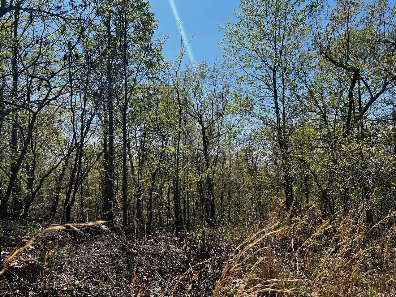https://bt-photos.global.ssl.fastly.net/nashville/1280_boomver_1_RTC3032609-1.jpg