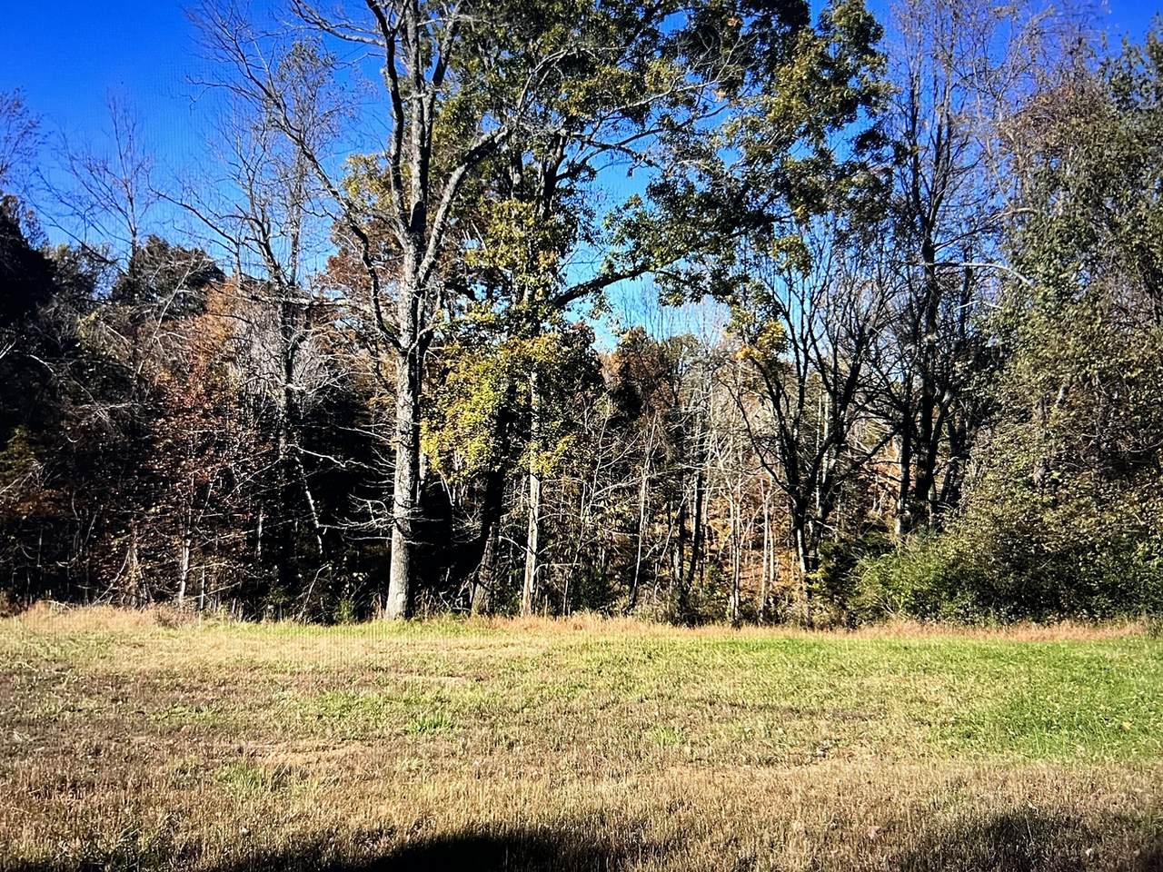 1366 Ridge Cir - Photo 1