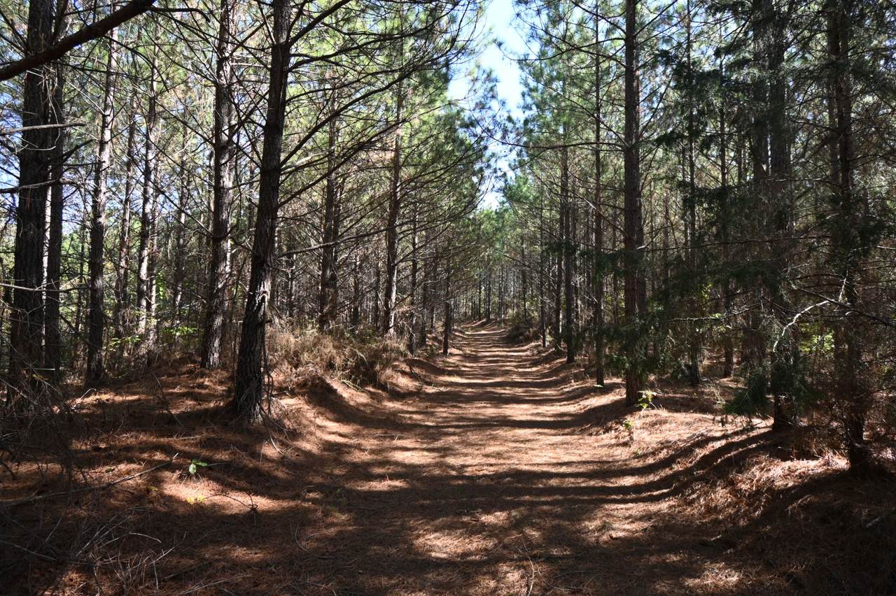 0 Owl Hollow Rd - Photo 1