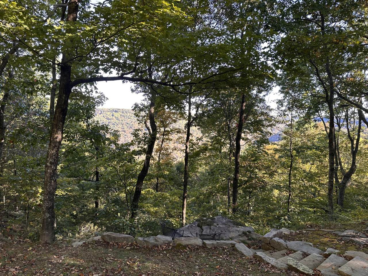 0 Azalea Ln - Photo 1