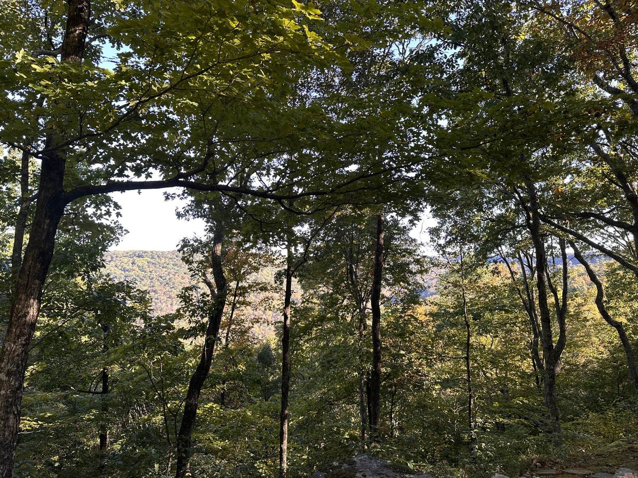 https://bt-photos.global.ssl.fastly.net/nashville/1280_boomver_1_RTC3032941-1.jpg