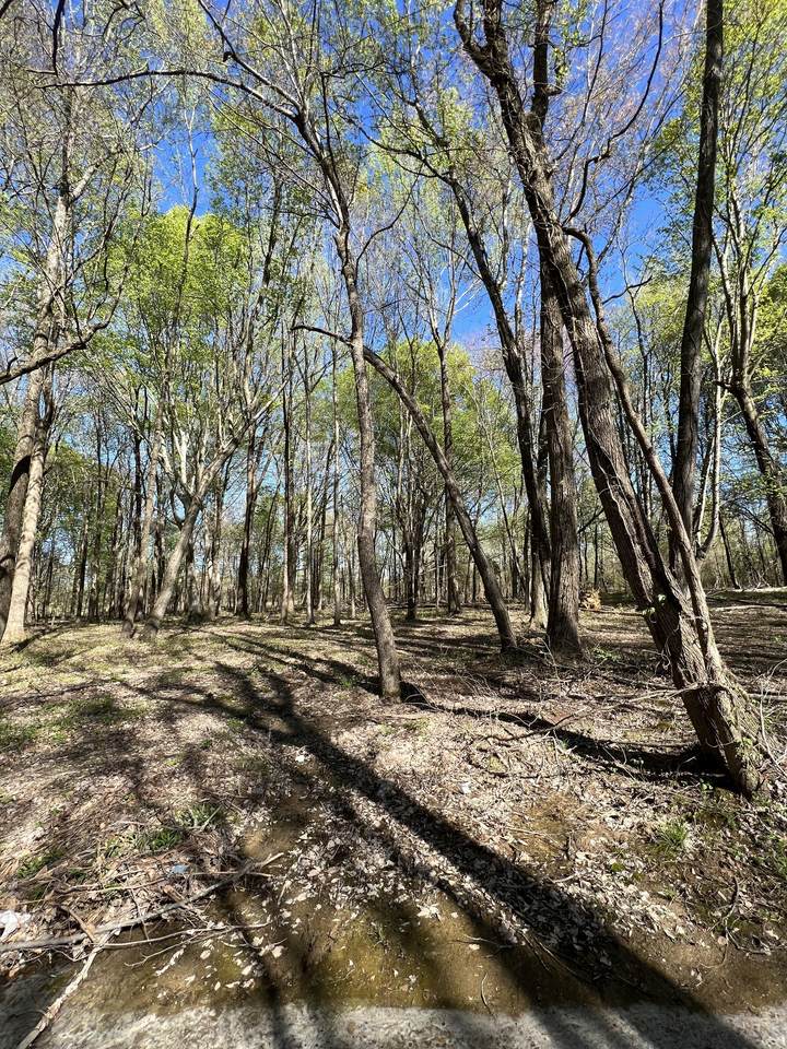 22 Highway 52E - Photo 1