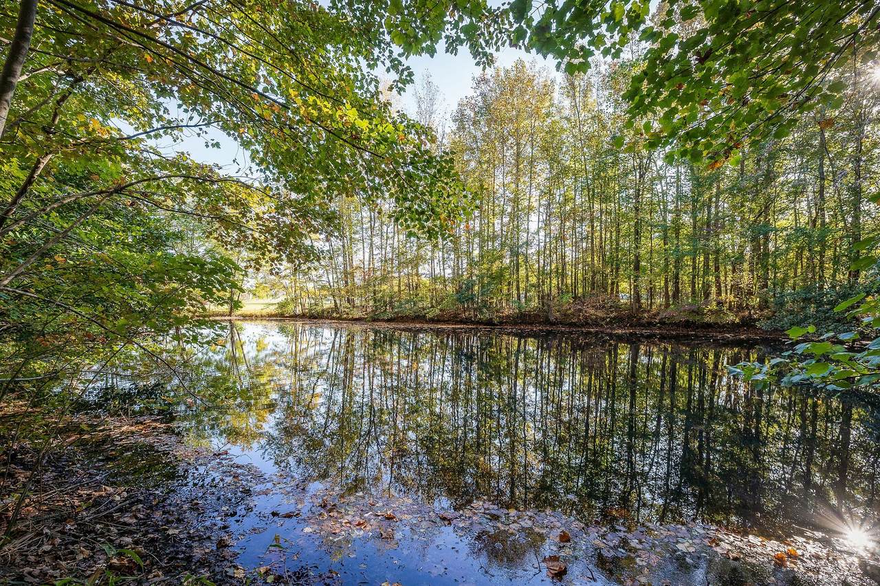 212 Park Rd - Photo 1