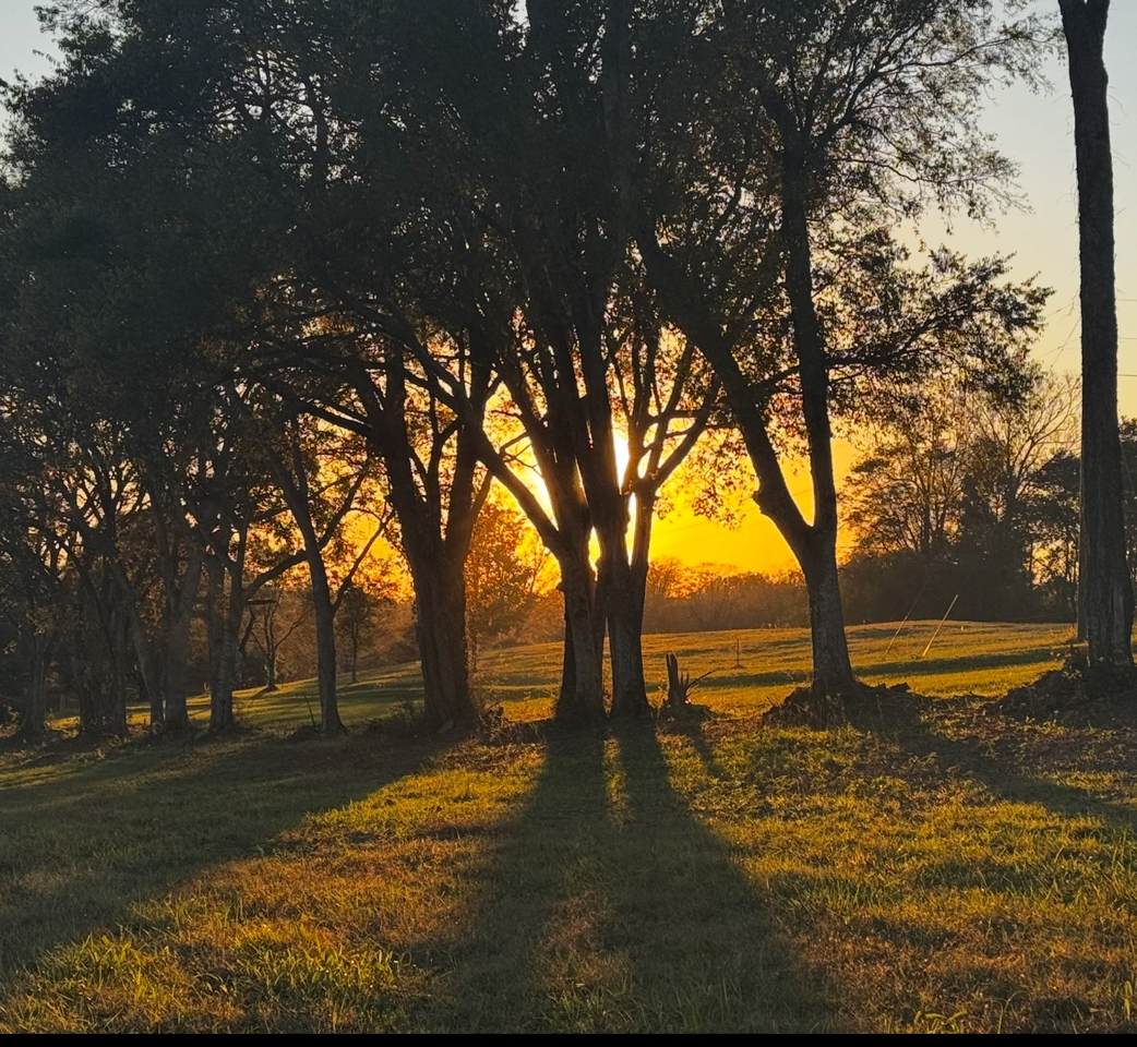 7924 Nolensville Rd - Photo 1