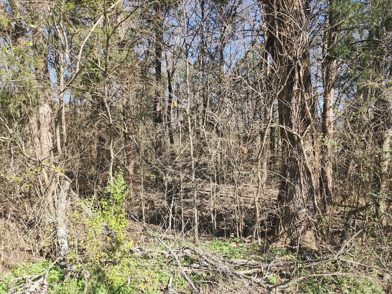 500 Highway 96 - Photo 1