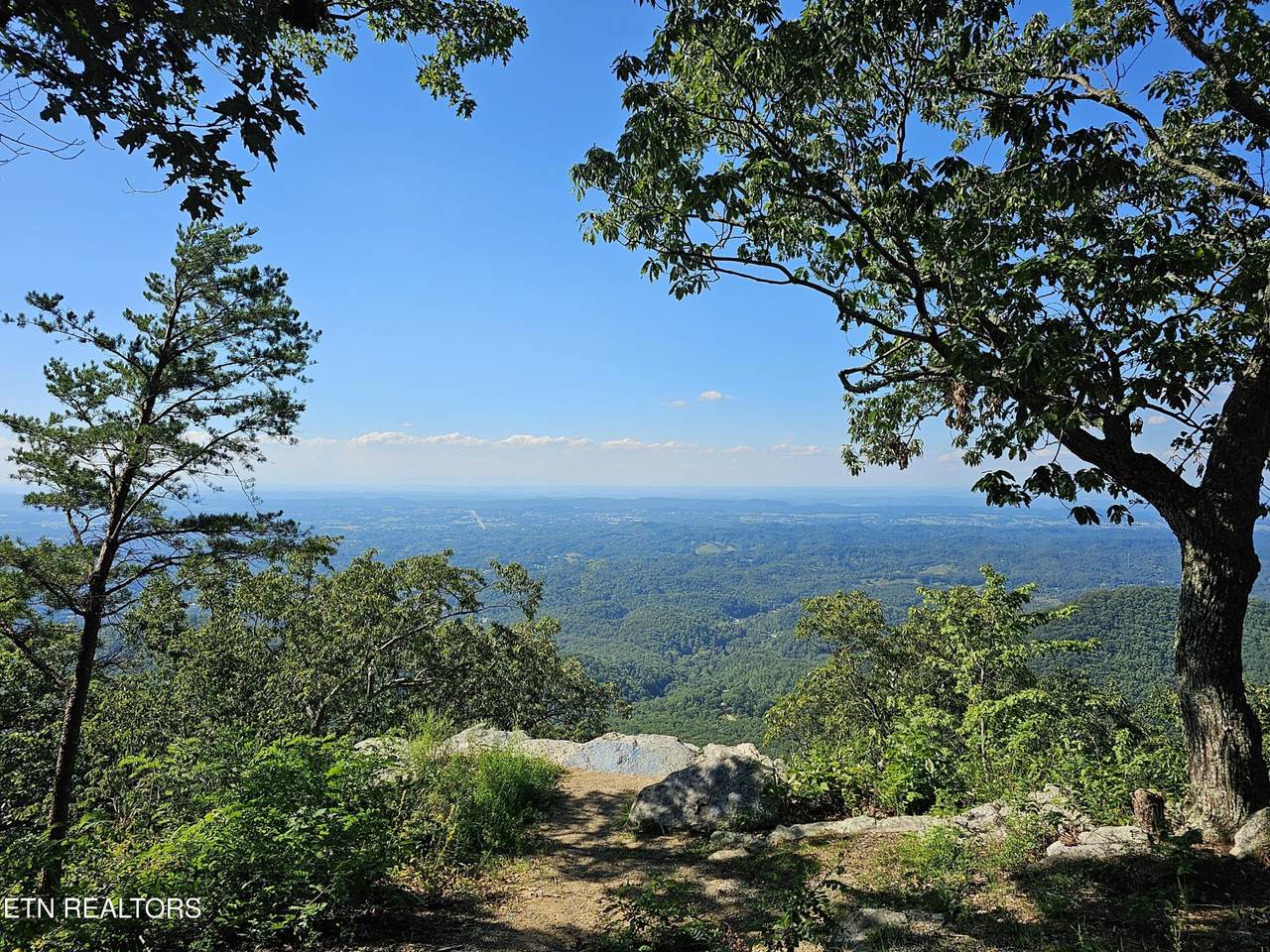 2820 Dupont Springs Rd - Photo 1