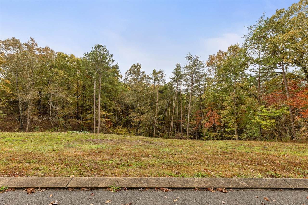 0 Countryside Drive - Photo 1