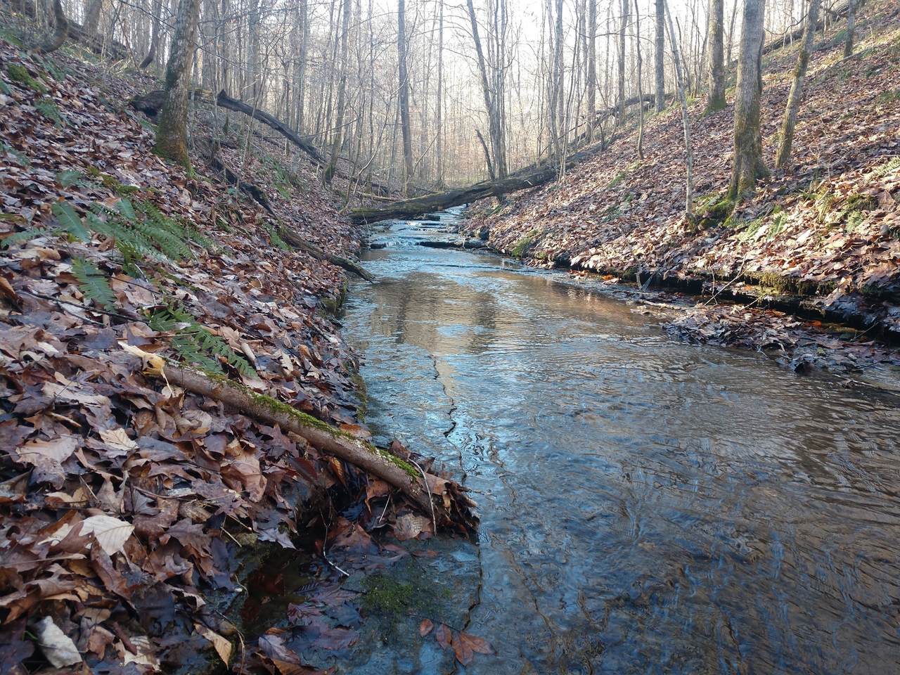 https://bt-photos.global.ssl.fastly.net/nashville/1280_boomver_1_RTC3037249-1.jpg