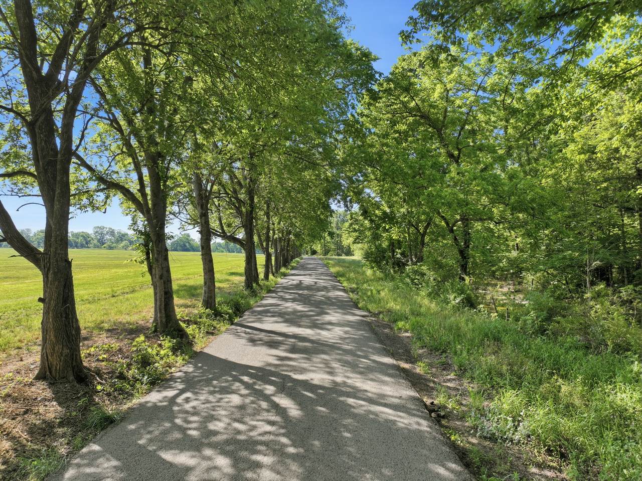 https://bt-photos.global.ssl.fastly.net/nashville/1280_boomver_2_RTC3037259-1.jpg