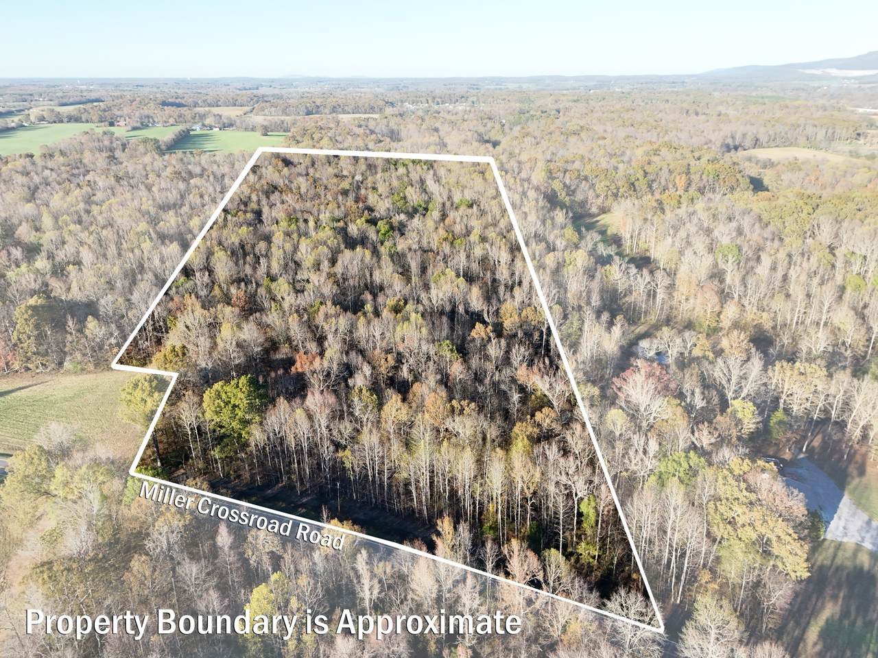 0 Miller Crossroad Rd - Photo 1
