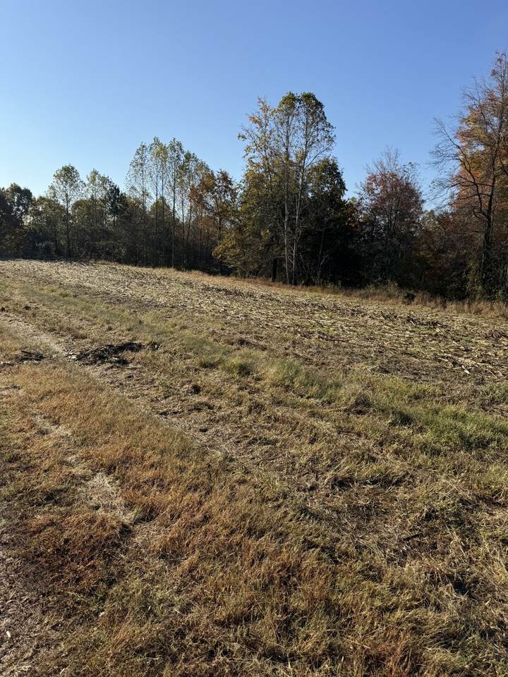 0 Oak Grove Road - Photo 1