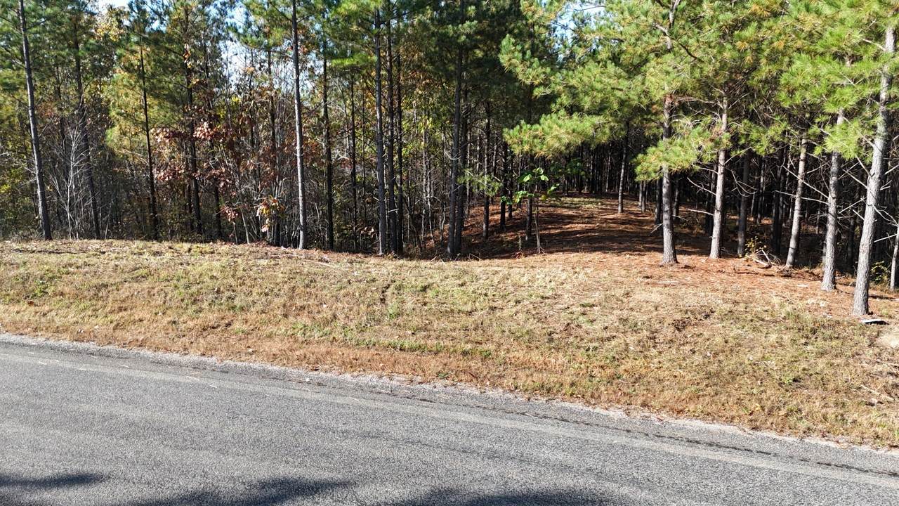 https://bt-photos.global.ssl.fastly.net/nashville/1280_boomver_1_RTC3038293-1.jpg