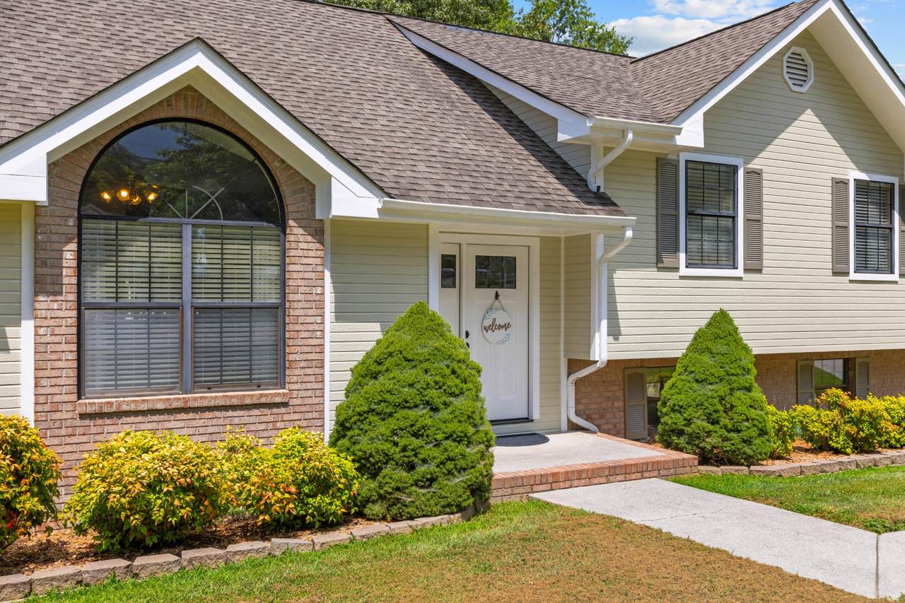 141 Debbie Lane - Photo 1