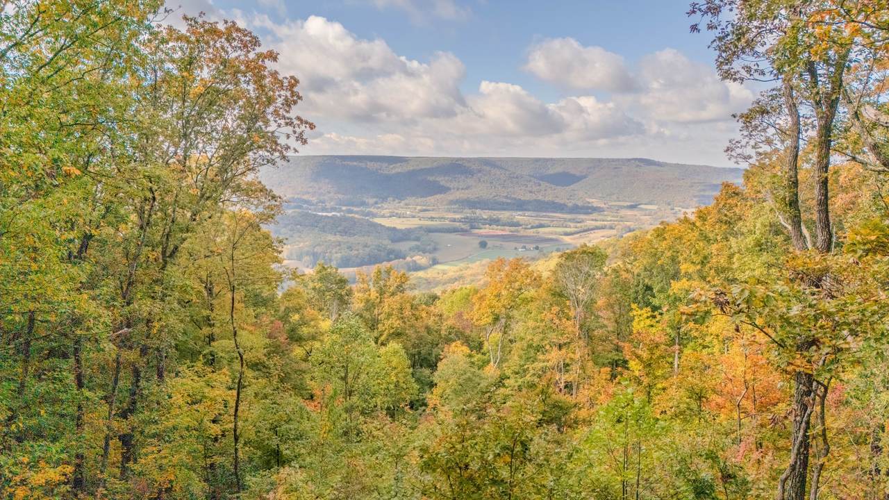https://bt-photos.global.ssl.fastly.net/nashville/1280_boomver_1_RTC3038919-1.jpg