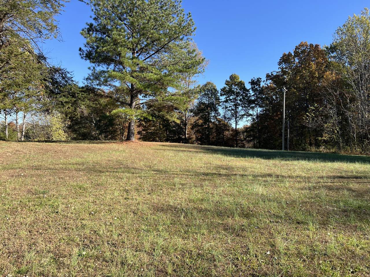 https://bt-photos.global.ssl.fastly.net/nashville/1280_boomver_1_RTC3038948-1.jpg