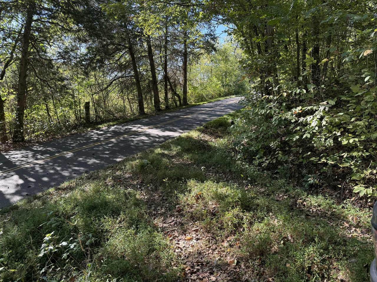2119 Bunches Chapel Rd - Photo 1