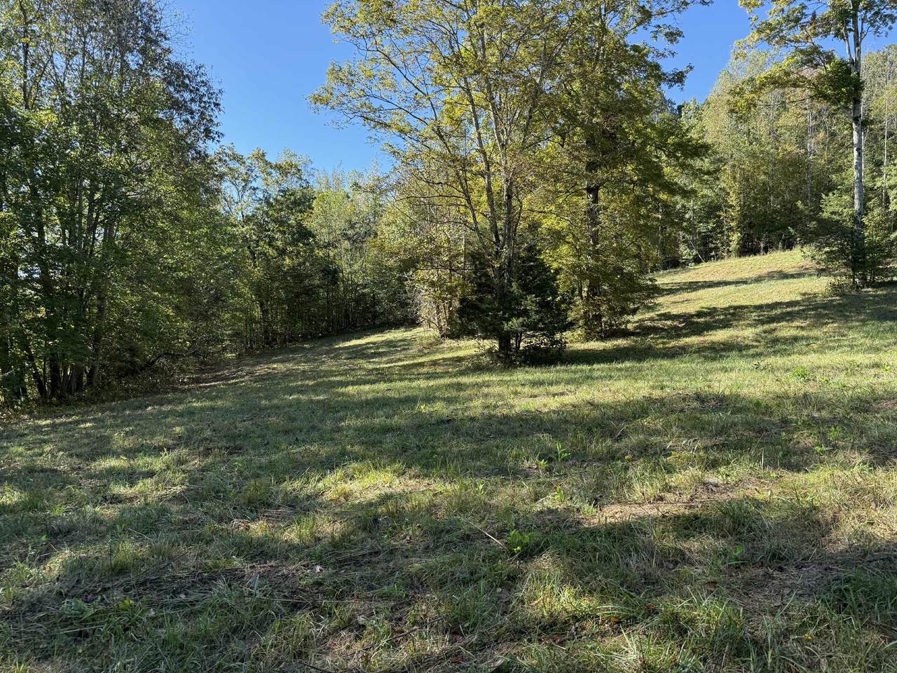https://bt-photos.global.ssl.fastly.net/nashville/1280_boomver_1_RTC3039568-1.jpg