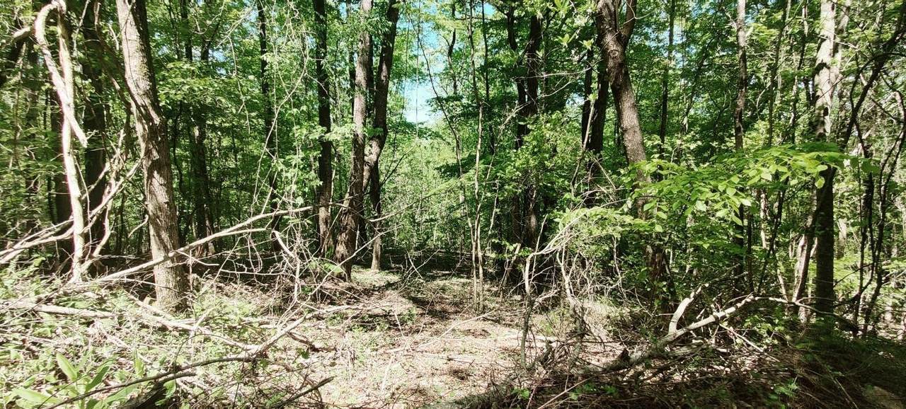 0 Coburntown (Lot 13) Road - Photo 1