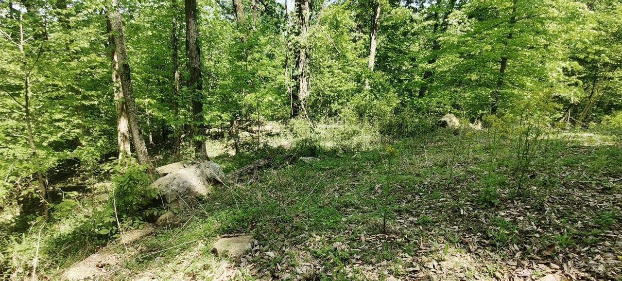 https://bt-photos.global.ssl.fastly.net/nashville/1280_boomver_1_RTC3039774-1.jpg