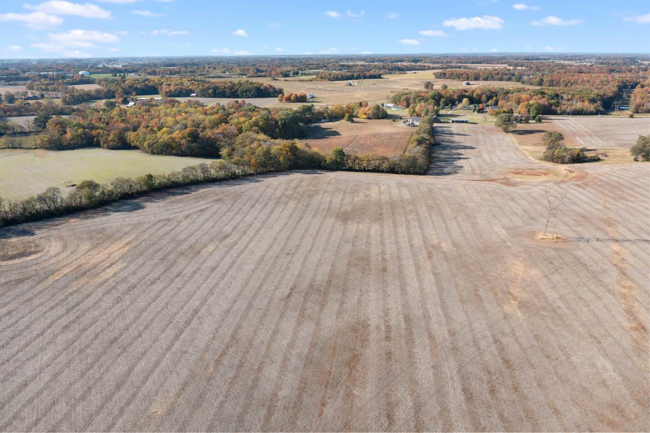 0 William Woodard Rd - Photo 1