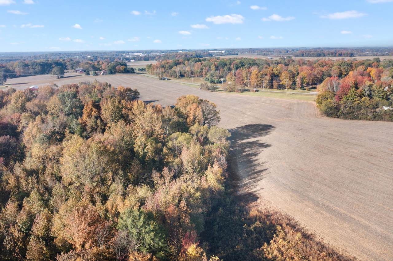 0 Hwy 431 - Photo 1