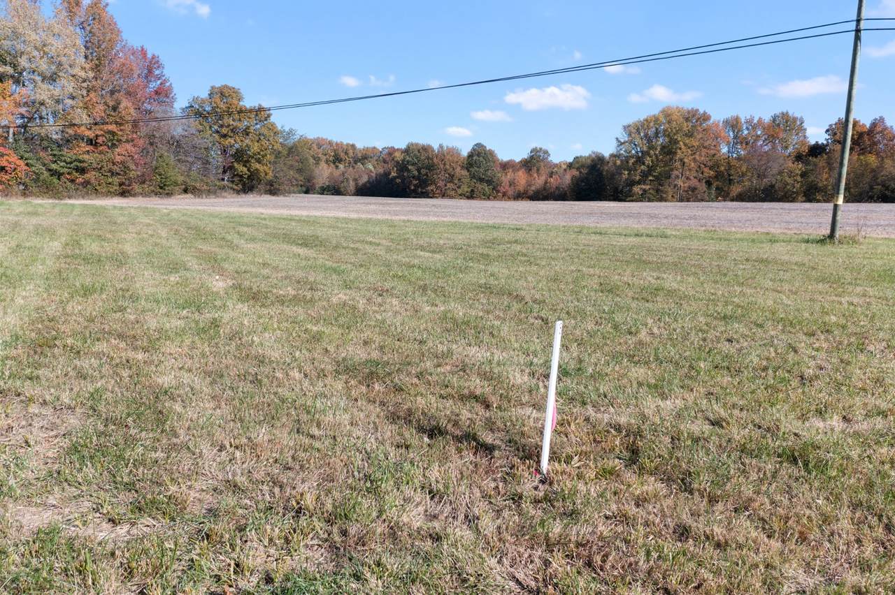 0 Hwy 431 - Photo 1