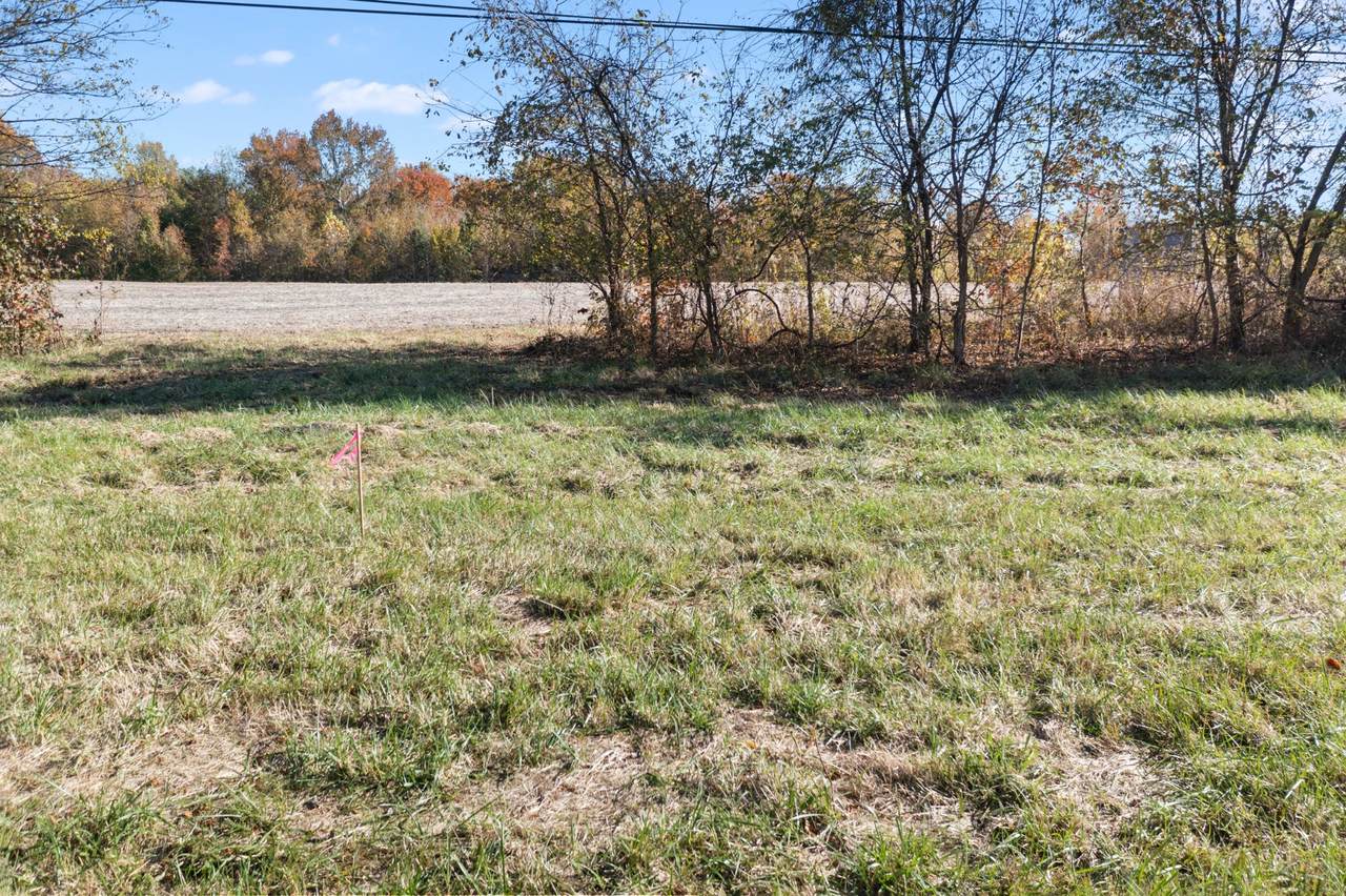 0 Hwy 431 - Photo 1