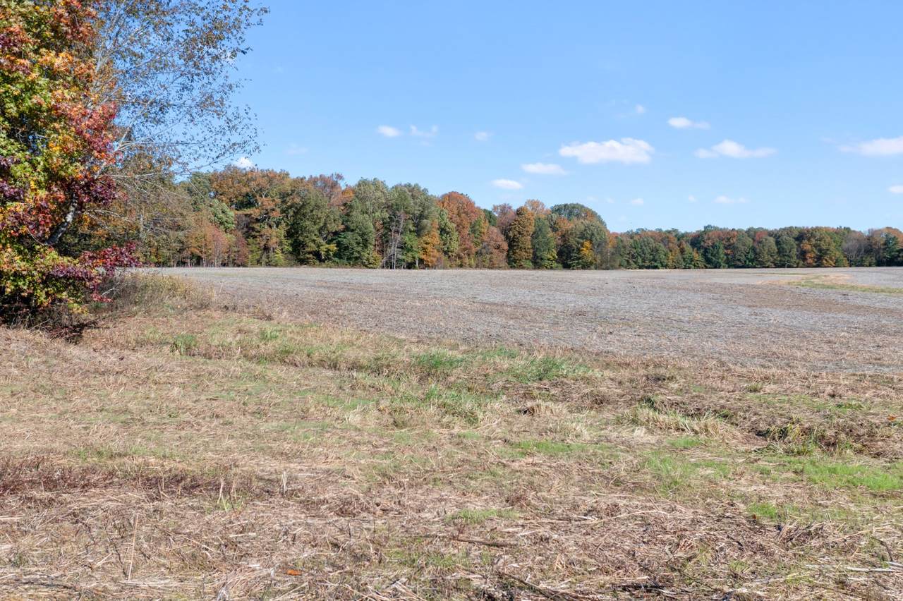 0 Hwy 431 - Photo 1