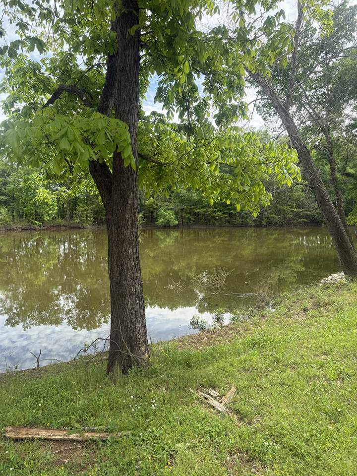 https://bt-photos.global.ssl.fastly.net/nashville/1280_boomver_1_RTC3041572-1.jpg