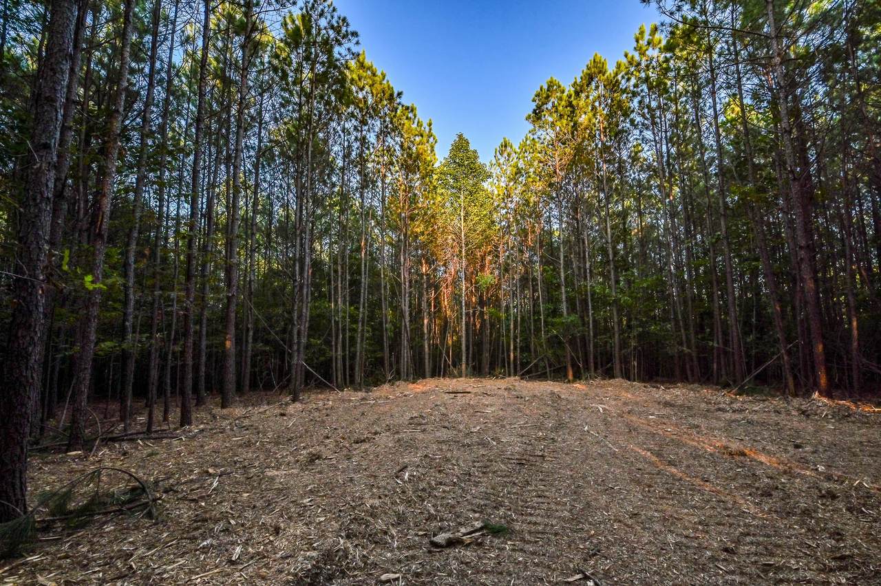 0 Brush Creek Rd - Photo 1
