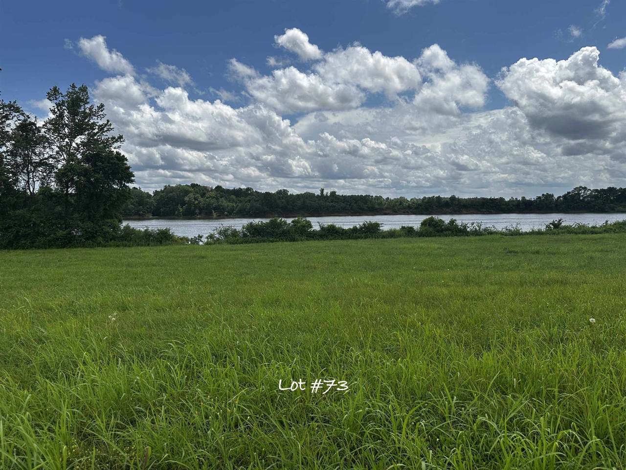 0 Catfish Ln - Photo 1
