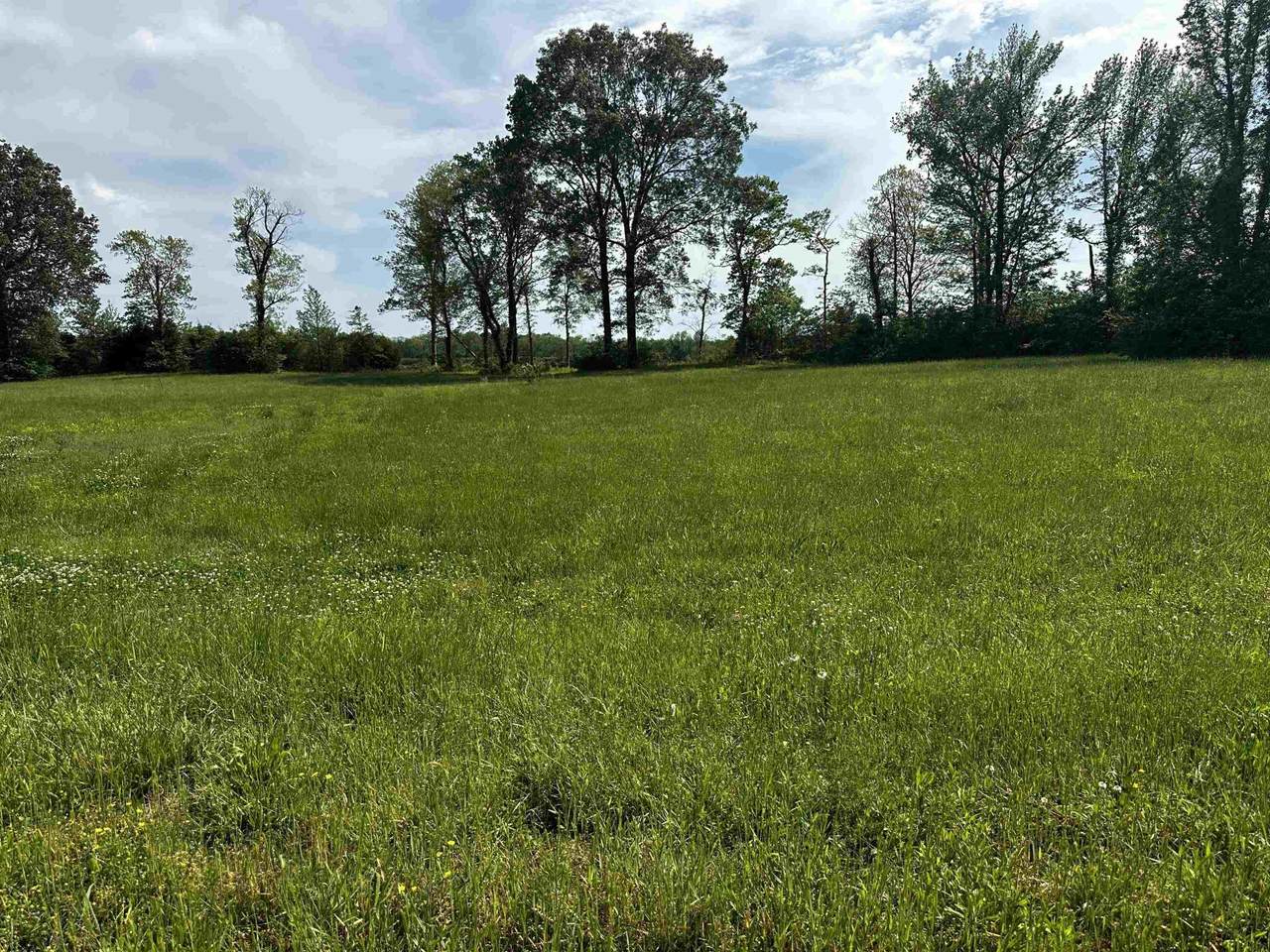 0 Catfish Ln - Photo 1