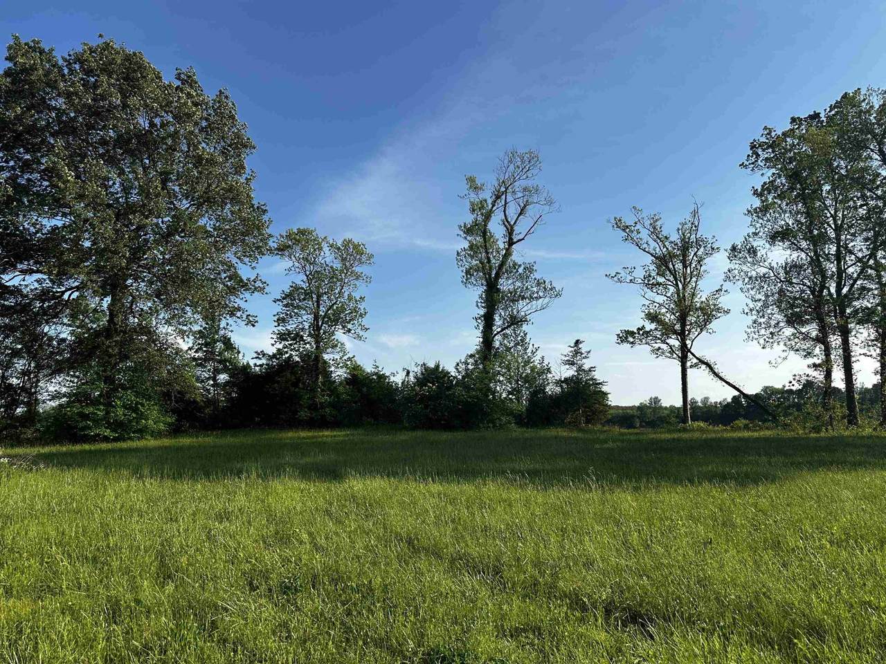 0 Catfish Ln - Photo 1