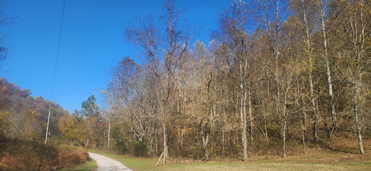 https://bt-photos.global.ssl.fastly.net/nashville/orig_boomver_1_RTC3043375-1.jpg
