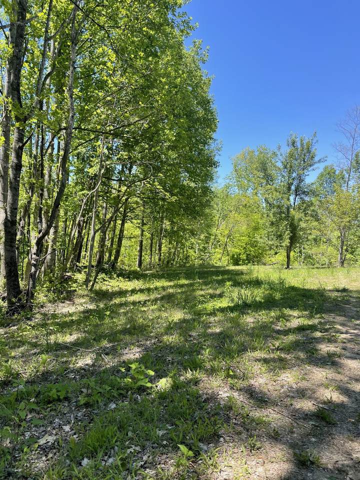 0 Highway 52 W - Photo 1