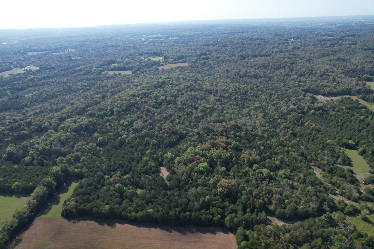 https://bt-photos.global.ssl.fastly.net/nashville/1280_boomver_1_RTC3043637-1.jpg
