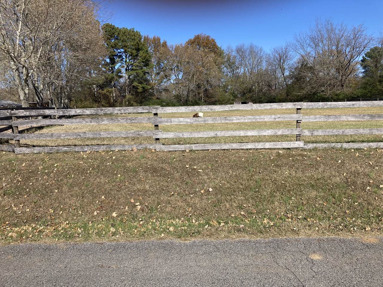 https://bt-photos.global.ssl.fastly.net/nashville/1280_boomver_1_RTC3043737-1.jpg
