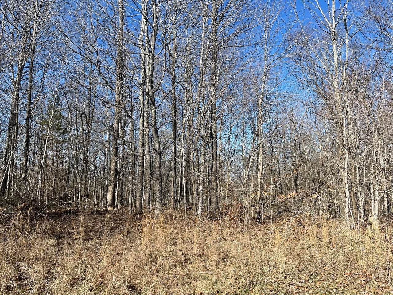 0 Chandler Rd - Photo 1